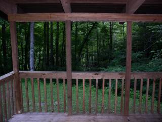 Summer View From the Front Porch