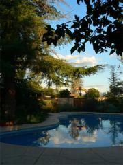 The Pool