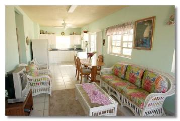 Tropical Blue 2 bdrm/ 2 bath living room